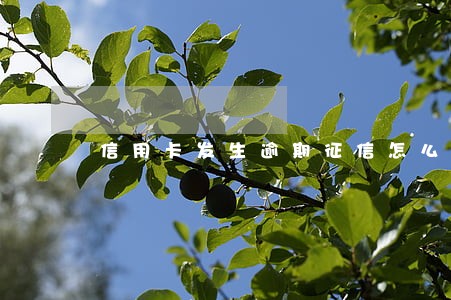 信用卡发生逾期征信怎么消除