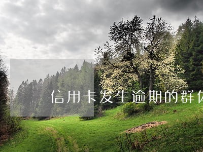 信用卡发生逾期的群体 信用卡发生逾期的群体