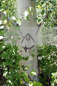 信用卡发过来的逾期