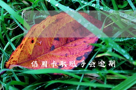 信用卡取现多会逾期 信用卡取现多会逾期
