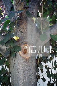 信用卡取现有逾期么 信用卡取现有逾期么
