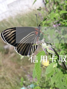 信用卡取现透支已逾期