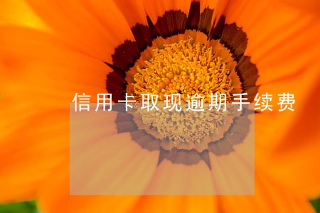 信用卡取现逾期手续费 信用卡取现逾期手续费