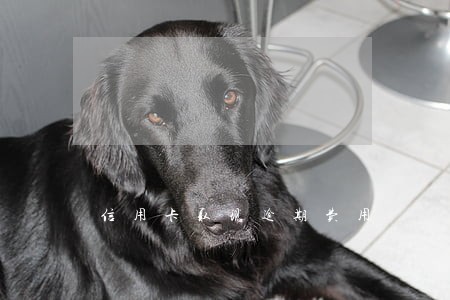 信用卡取现逾期费用 信用卡取现逾期费用