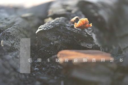 信用卡取现逾期费用是多少 信用卡取现逾期费用是多少