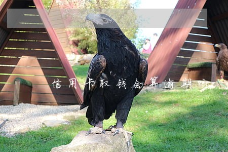信用卡取钱会算逾期吗 信用卡取钱会算逾期吗