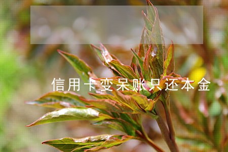 信用卡变呆账只还本金 信用卡变呆账只还本金