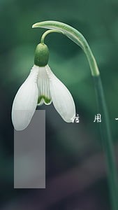 信用卡只是逾期了10几天 信用卡只是逾期了10几天