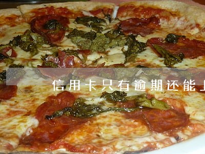 信用卡只有逾期还能上岸 信用卡只有逾期还能上岸