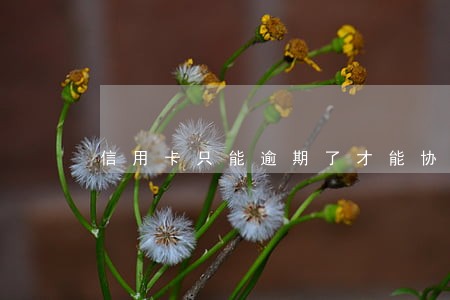 信用卡只能逾期了才能协商吗