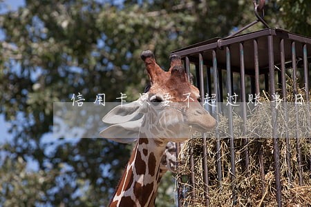 信用卡只要不超过账单日会逾期吗