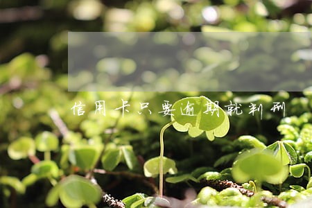 信用卡只要逾期就判刑