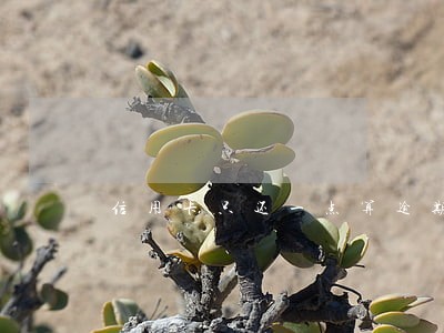 信用卡只还一点算逾期吗