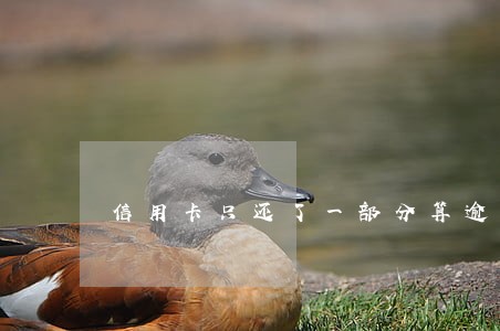 信用卡只还了一部分算逾期吗 信用卡只还了一部分算逾期吗