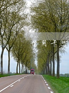 信用卡只还本金三个月后结清