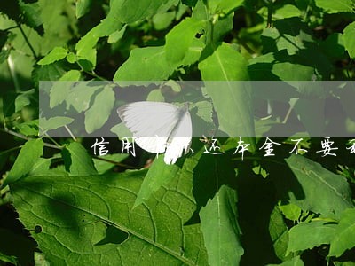 信用卡只还本金不要利息 信用卡只还本金不要利息