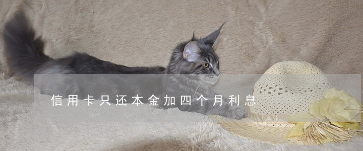 信用卡只还本金加四个月利息 信用卡只还本金加四个月利息