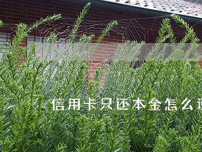 信用卡只还本金怎么谈 信用卡只还本金怎么谈