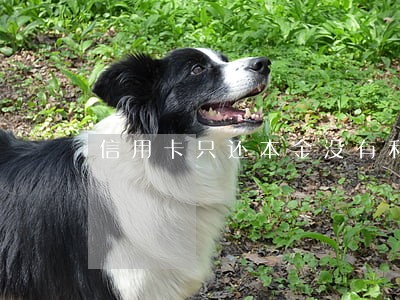 信用卡只还本金没有利息 信用卡只还本金没有利息