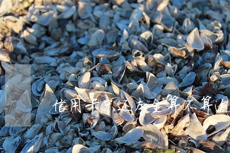 信用卡只还本金算不算逾期 信用卡只还本金算不算逾期