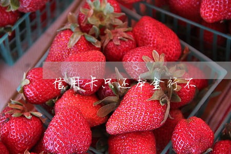 信用卡只还本金行不 信用卡只还本金行不