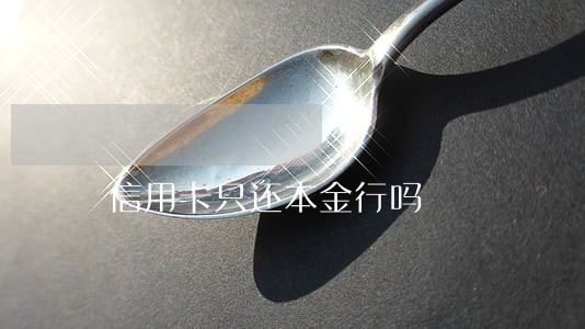 信用卡只还本金行吗