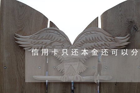 信用卡只还本金还可以分期吗 信用卡只还本金还可以分期吗
