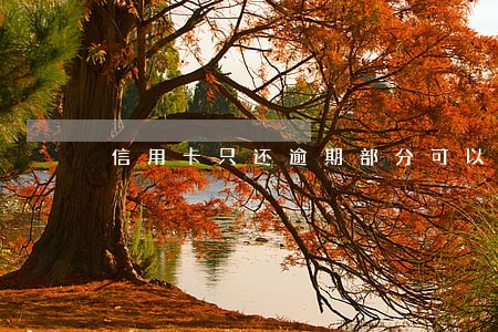 信用卡只还逾期部分可以吗