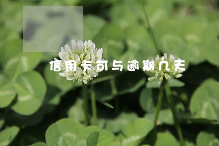 信用卡可与逾期几天