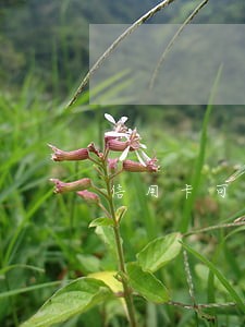 信用卡可以只还本金么还不起 信用卡可以只还本金么还不起