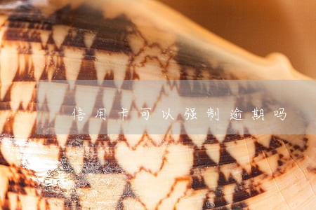 信用卡可以强制逾期吗 信用卡可以强制逾期吗