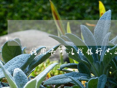 信用卡可以找银行只还本金吗 信用卡可以找银行只还本金吗