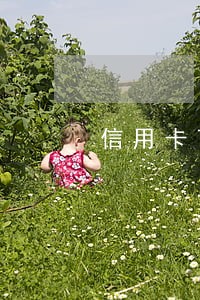 信用卡可以还款逾期一天吗 信用卡可以还款逾期一天吗