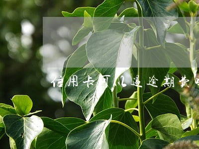 信用卡可以退逾期费吗 信用卡可以退逾期费吗