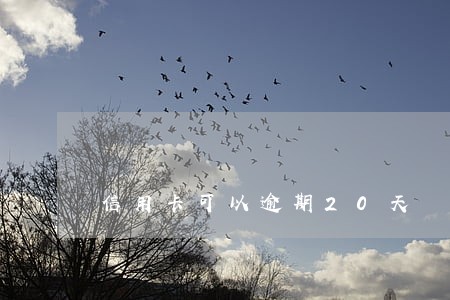 信用卡可以逾期20天 信用卡可以逾期20天