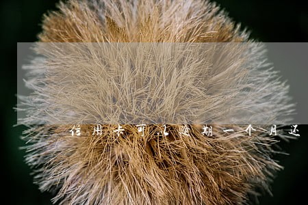 信用卡可以逾期一个月还吗 信用卡可以逾期一个月还吗