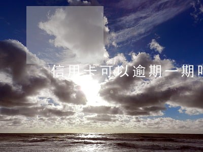 信用卡可以逾期一期吗 信用卡可以逾期一期吗