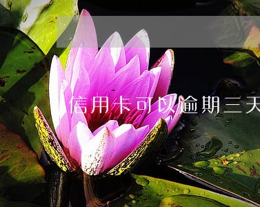 信用卡可以逾期三天还款吗 信用卡可以逾期三天还款吗
