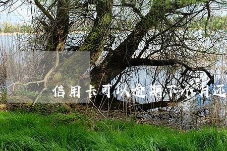 信用卡可以逾期下个月还吗 信用卡可以逾期下个月还吗