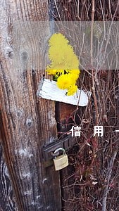 信用卡可以逾期几日 信用卡可以逾期几日