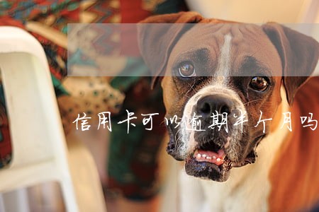 信用卡可以逾期半个月吗 信用卡可以逾期半个月吗