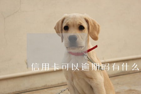 信用卡可以逾期吗有什么影响