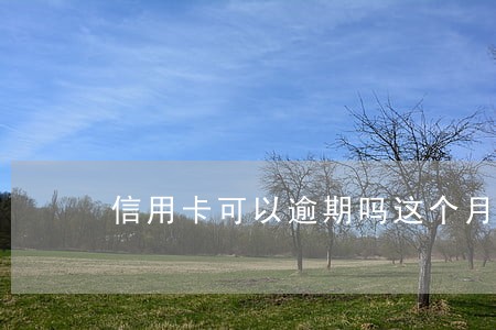 信用卡可以逾期吗这个月 信用卡可以逾期吗这个月