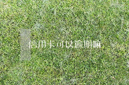 信用卡可以逾期嘛