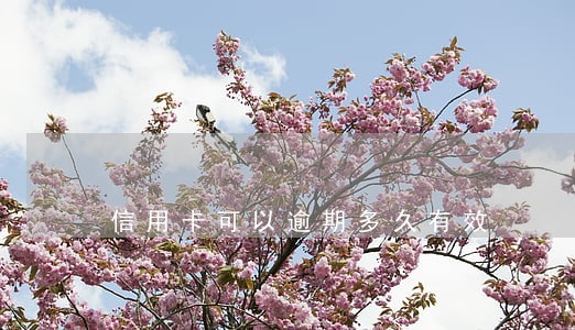 信用卡可以逾期多久有效 信用卡可以逾期多久有效