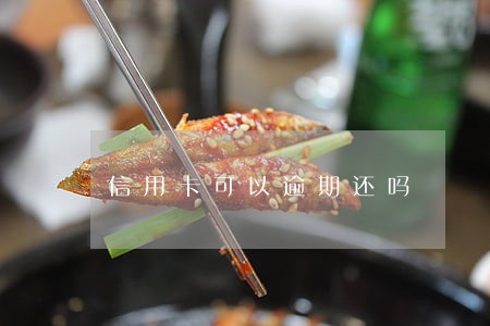 信用卡可以逾期还吗 信用卡可以逾期还吗