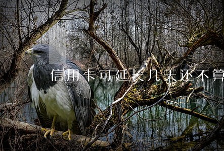 信用卡可延长几天还不算逾期 信用卡可延长几天还不算逾期