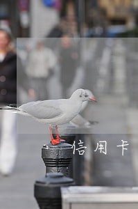 信用卡可申请减免逾期费 信用卡可申请减免逾期费