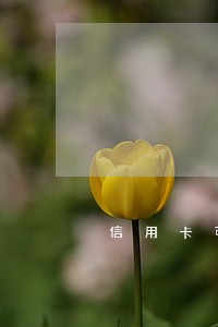 信用卡可逾期三天
