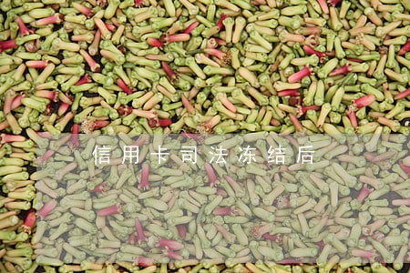 信用卡司法冻结后